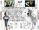 LES 102 DALMATIENS